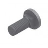 TORNILLO DE FIJACION ANTIGIRO M10
