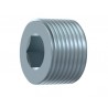 TAPON ALLEN NPT 1/4"