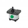 BOMBA 3L/M 275 BAR- 5000 RPM - 2CM3