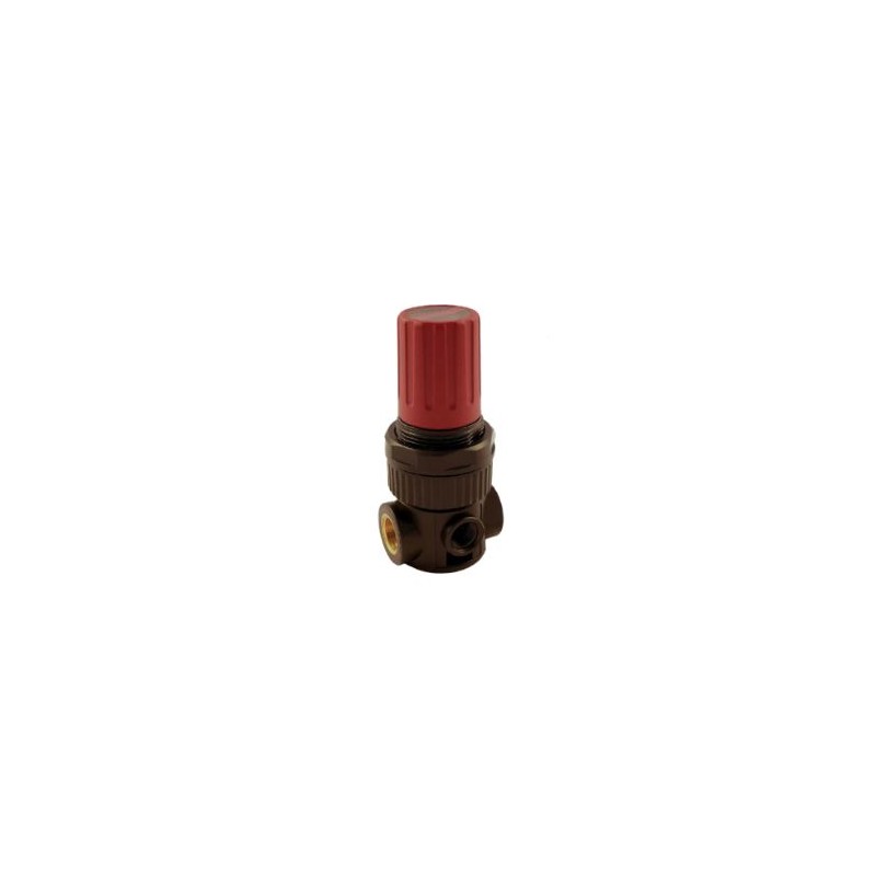 MICRO REGULADOR 1/8 0-8 BAR