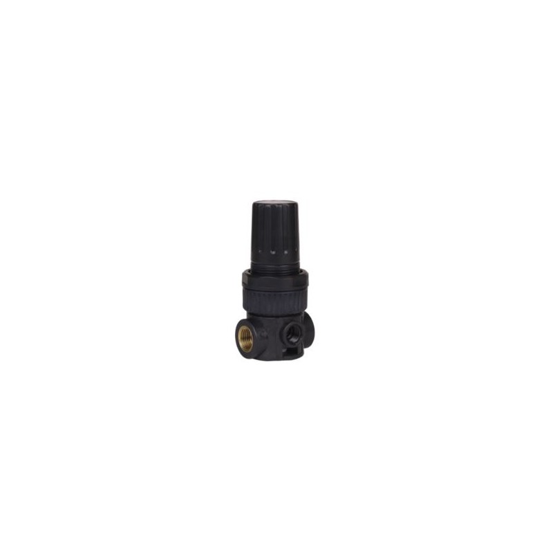 MICROREG.PARA AGUA1/8 0-2 BAR S/RELIVING