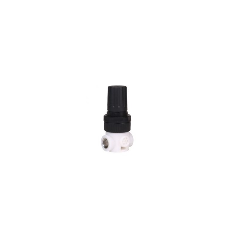 MICROREG.P/AGUA1/8 0-2 BAR INSERTO INOX