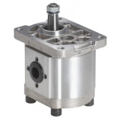 GR. II MOTOR ENGRANAJE REV. BRIDA EU