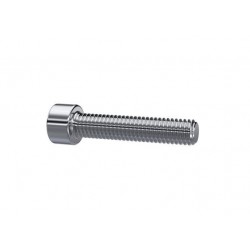 TORNILLO PARA BRIDA SAE INOX M8X30
