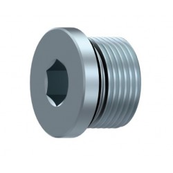 TAPON DE CIERRE ALLEN C/JUNTA M10X1