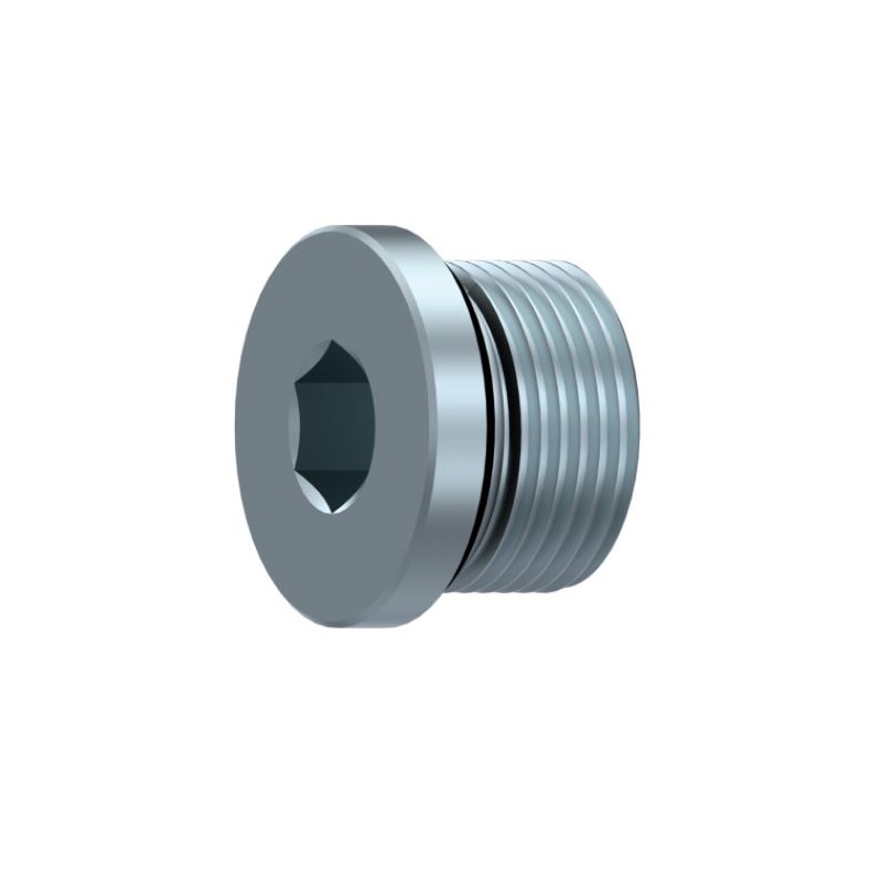 TAPON DE CIERRE ALLEN C/JUNTA M10X1