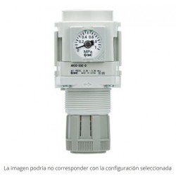 REGULADOR DE PRESION 1/4"