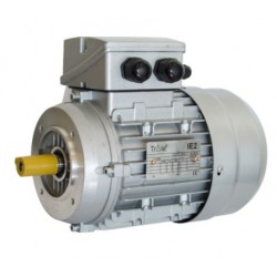 MOTOR TRIFASICO CON BRIDA B14, IE3 1CV