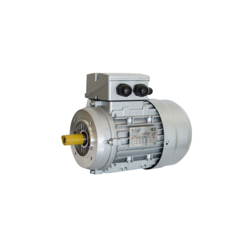 MOTOR TRIFASICO CON BRIDA B14, IE3 1CV