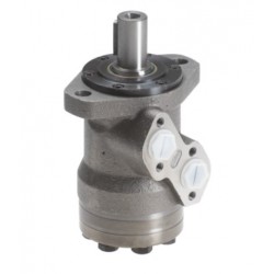 MOTOR MOMP 50 TRALE