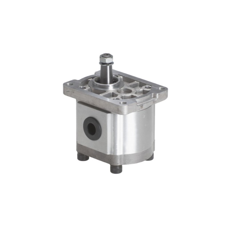 GR. II MOTOR ENGRANAJE REV BRIDA ROSCADA