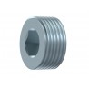 TAPON MACHO ALLEN BSPT 1/4"