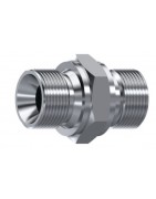 MACHO-MACHO BSP CONO A 60º INOX