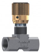 REGULADOR CAUDAL FORJADO UNIDIRE.350 BAR INOXIDABLE