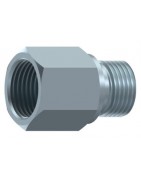 REDUCTOR MACHO BSP 60º-HEMBRA FIJA BSP