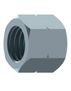 TAPON HEMBRA FIJA NPT.ADAPTADORES FLUIDAL