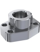 CONTRABRIDA SAE ROSCADA HEMBRA BSP INOX