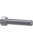 TORNILLO PARA BRIDA SAE INOX