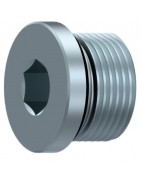 TAPON DE CIERRE ALLEN BSP C/JUNTA.RACORES DIN 2353